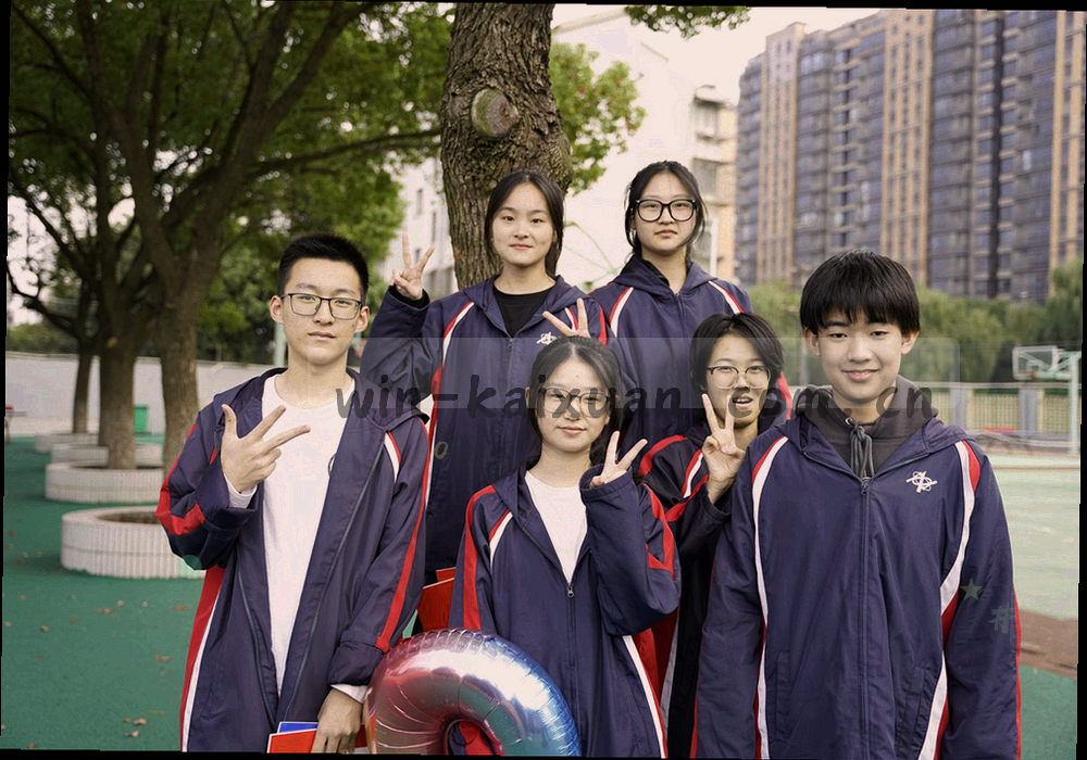横向安装流程示意图，四个编号阶段依次相连，每个阶段下方标注成功判断标准